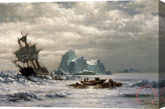 William Bradford Whaler in The Ice Pack Stretched Canvas Print / Canvas Art