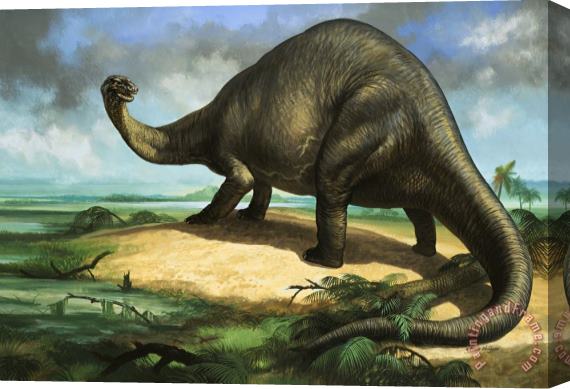 William Francis Phillipps Apatosaurus Stretched Canvas Painting / Canvas Art
