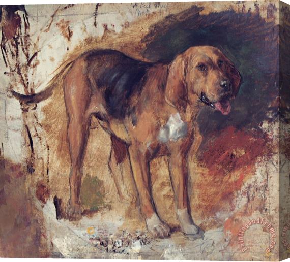 William Holman Hunt Study of a Bloodhound Stretched Canvas Painting / Canvas Art