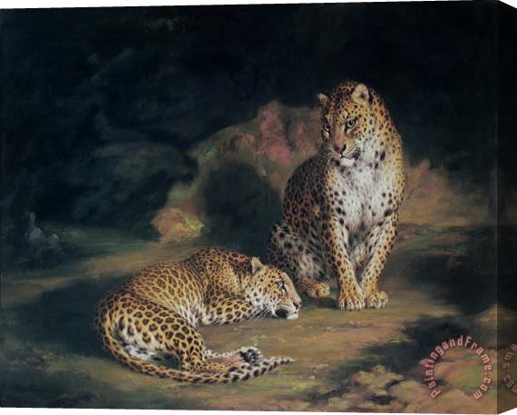 William Huggins A Pair of Leopards Stretched Canvas Print / Canvas Art