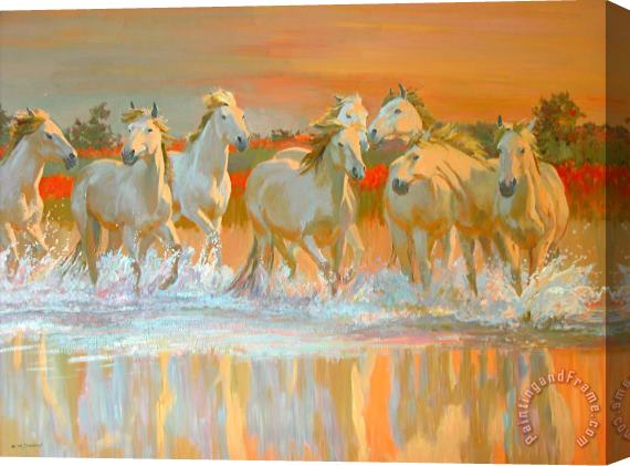 William Ireland Camargue Stretched Canvas Painting / Canvas Art