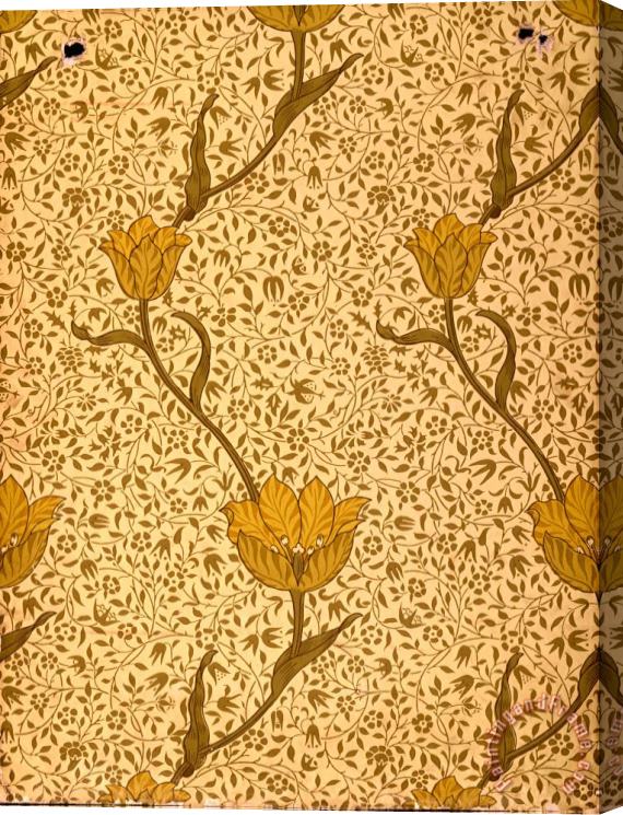 William Morris Garden Tulip Wallpaper Design Stretched Canvas Print / Canvas Art