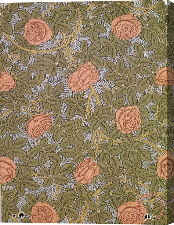 William Morris Rose 93 Wallpaper Design Stretched Canvas Print / Canvas Art
