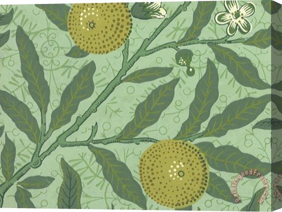 William Morris Wallpaper Sample with Lemons And Branches Stretched Canvas Print / Canvas Art