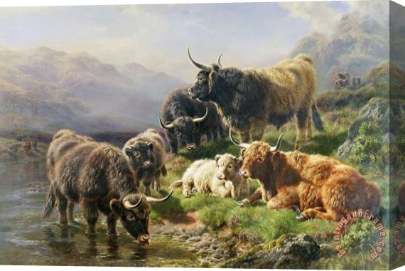 William Watson Highland Cattle Stretched Canvas Painting / Canvas Art