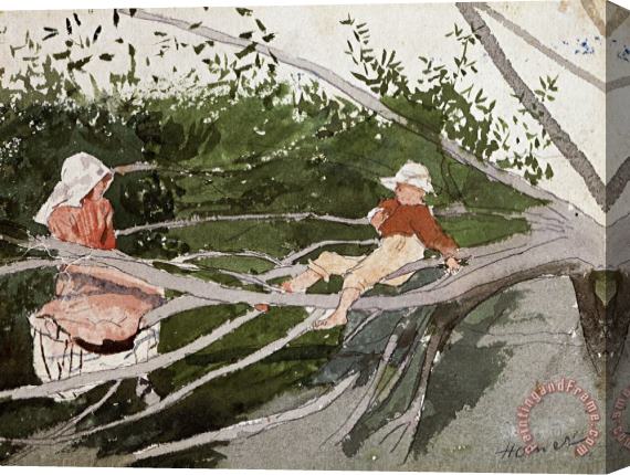 Winslow Homer Out on a Limb Stretched Canvas Print / Canvas Art