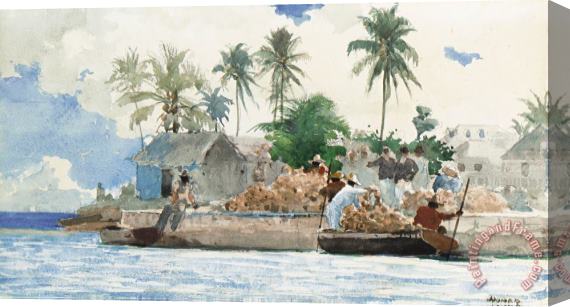 Winslow Homer Sponge Fisherman in the Bahama Stretched Canvas Print / Canvas Art
