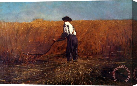 Winslow Homer The Veteran in a New Field Stretched Canvas Print / Canvas Art