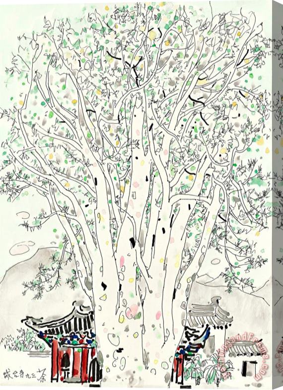 Wu Guanzhong Lacebark Pine at Jie Tai Temple, 1993 Stretched Canvas Print / Canvas Art