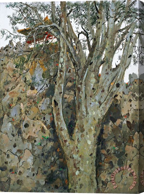 Wu Guanzhong Lacebark Pine in The Imperial Palace, 1975 Stretched Canvas Painting / Canvas Art