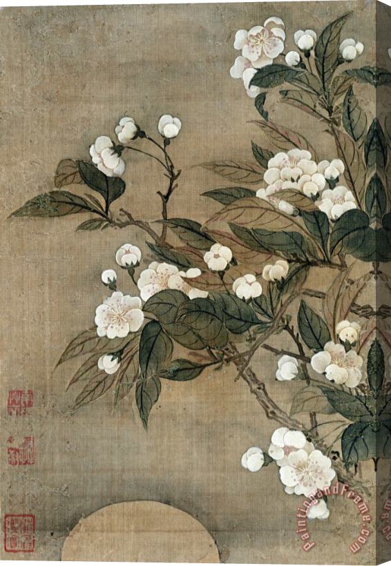 Yun Shouping Pear Blossom And Moon Stretched Canvas Print / Canvas Art